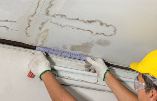 Reliable Sewage Cleanup contractor in Allentown, NJ by Water Damage Irwin